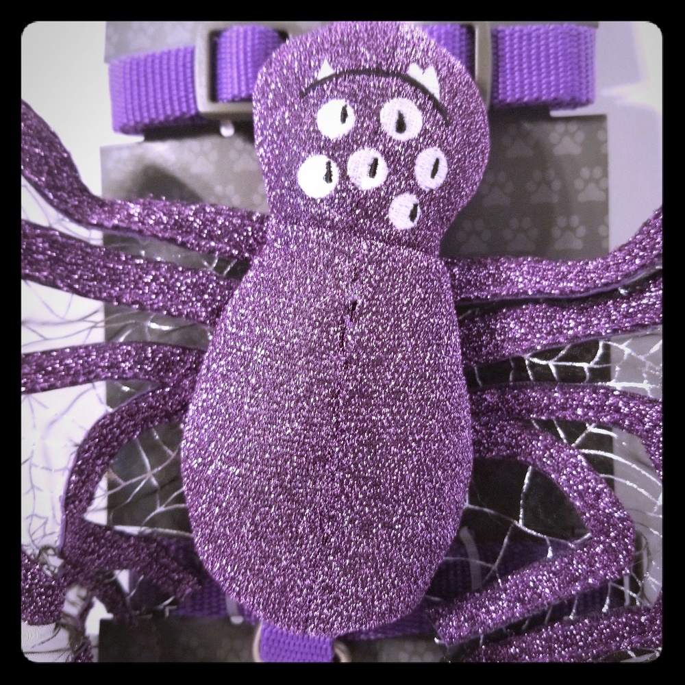 Medium Spider Harness Halloween Pet Costume